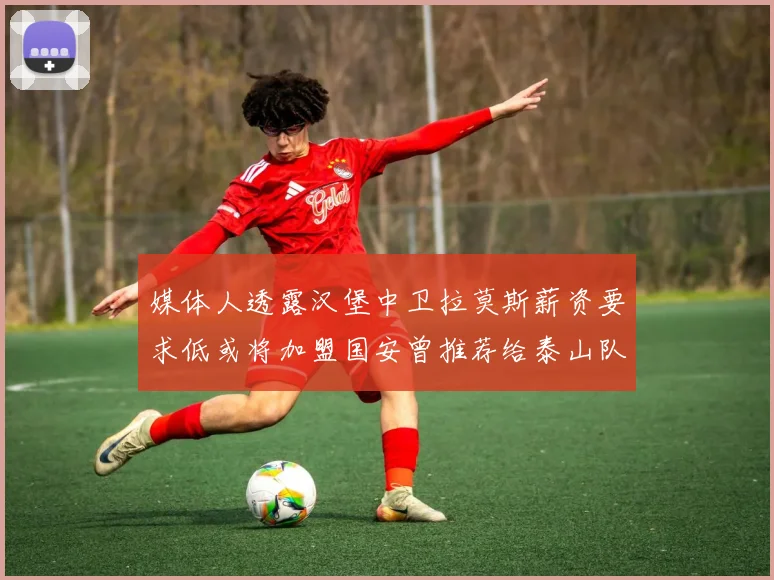 媒体人透露汉堡中卫拉莫斯薪资要求低或将加盟国安曾推荐给泰山队
